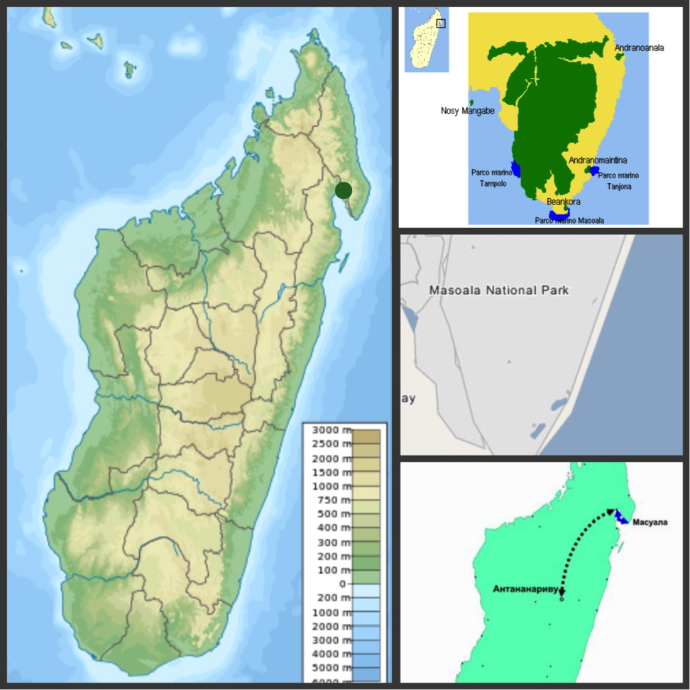 Мадагаскар карт 3. Остров Мадагаскар на карте. Остров Мадагаскар на физической карте. Остров Мадагаскар на географической карте. Рельеф Мадагаскара карта.