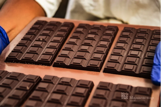 Шоколад – лекарство от всех болезней